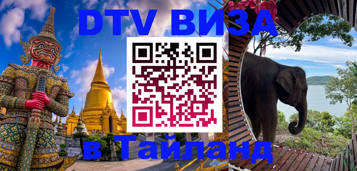 Сколько стоит DTV виза — актуальные цены, оформление даже без документов - 